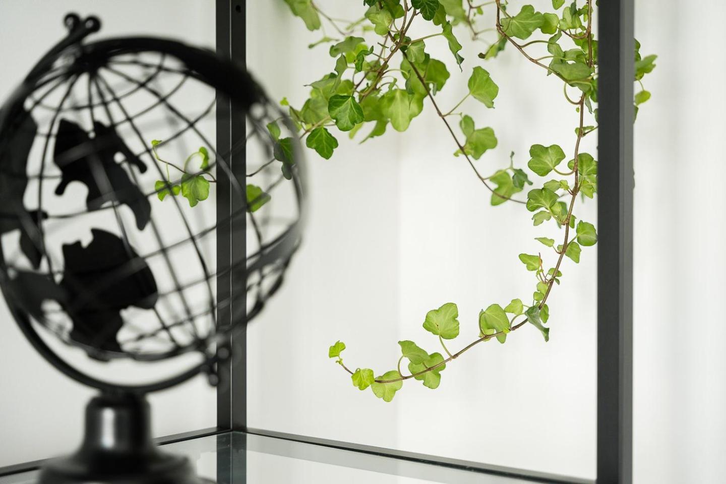 Guestready - Serene Stay In Oporto Exterior foto